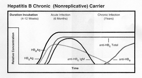 hepatita_b_1