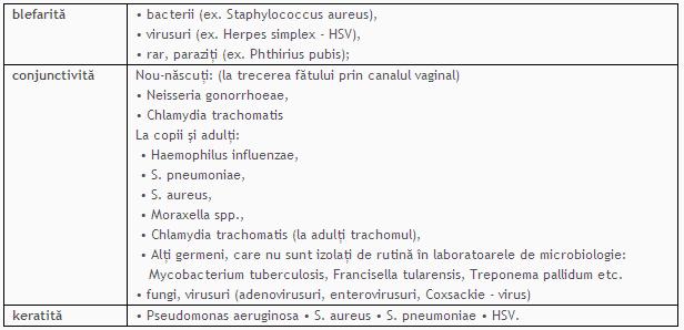 oculare