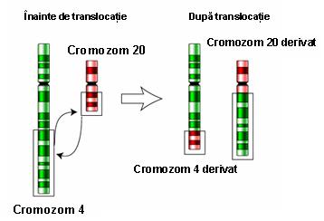 Analiza citogenetica pret