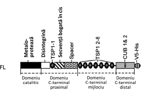 fig1