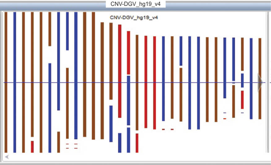 Fig.3