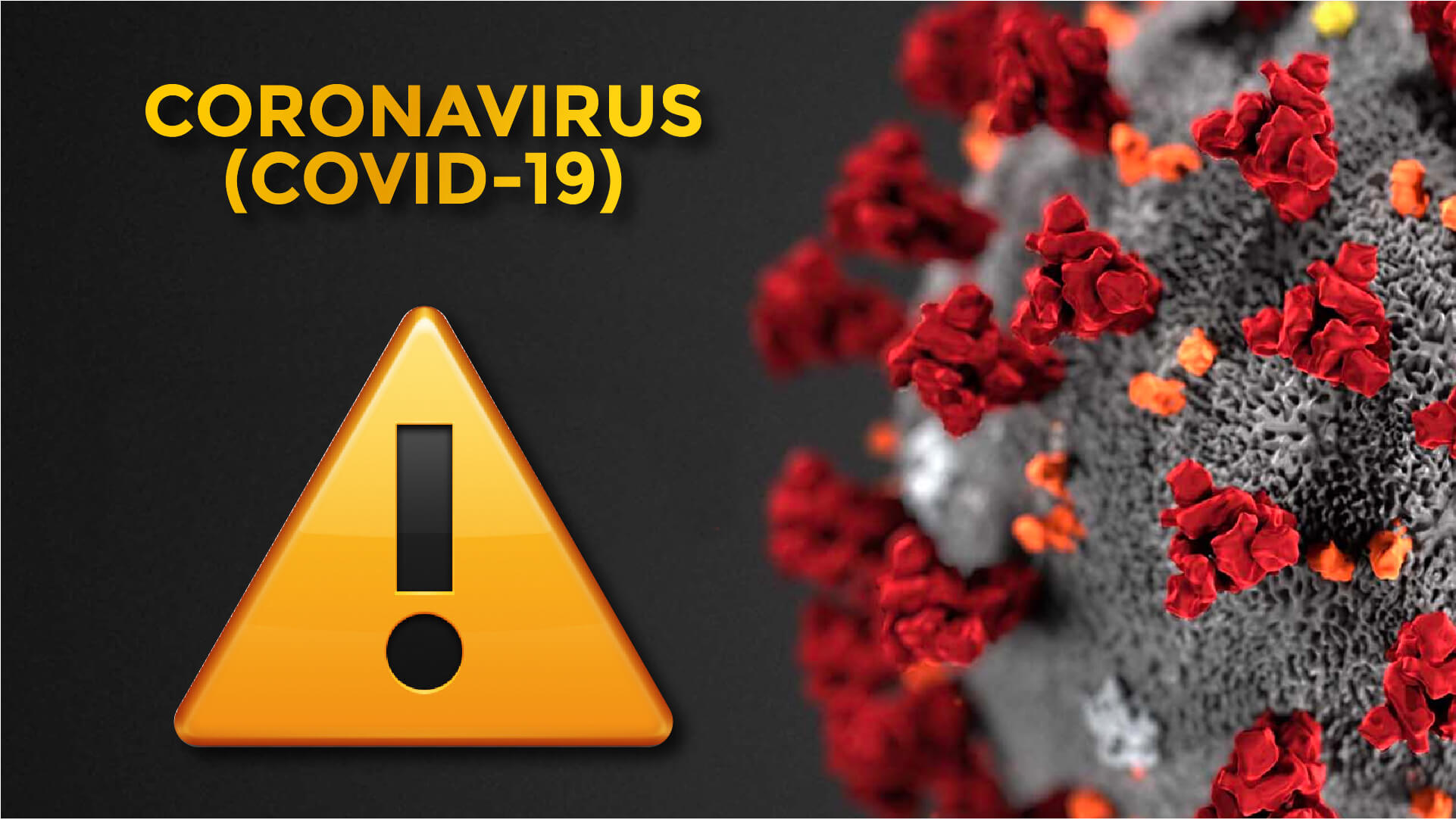 CORONAVIRUS (COVID-19) - Synevo