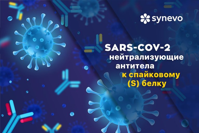 Нейтрализующие антитела к спайковому (S) белоку SARS‑CoV‑2, IgG - Synevo